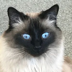 Meet your Posher, Liz